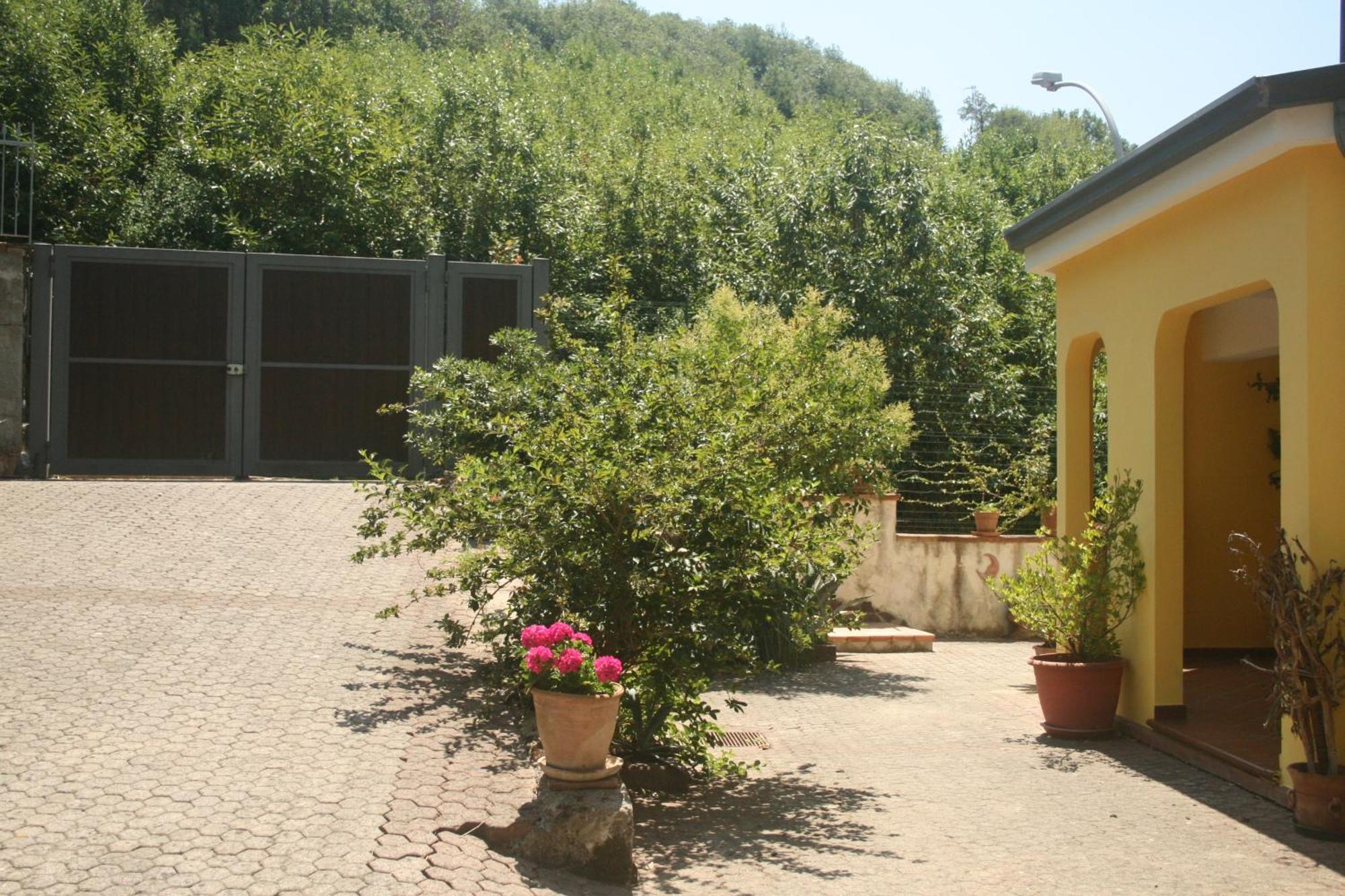 B&B Del Castagneto San Marco Argentano Room photo